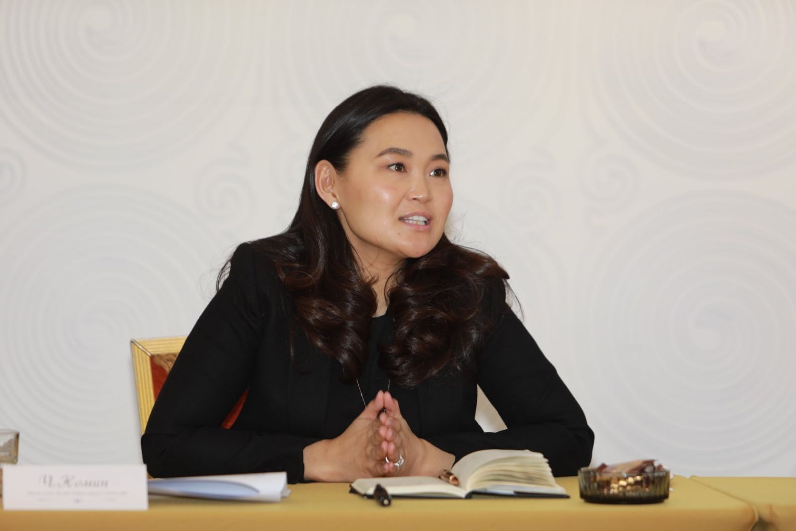 Соёлын Сайд Ч.Номин хэл, соёл, утга зохиол, урлаг судлалын салбарын төлөөлөлтэй уулзлаа